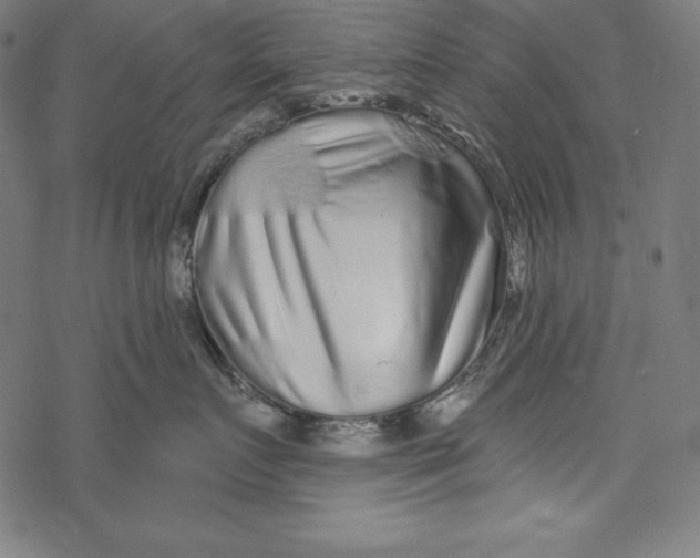 X0000067920719200605041709