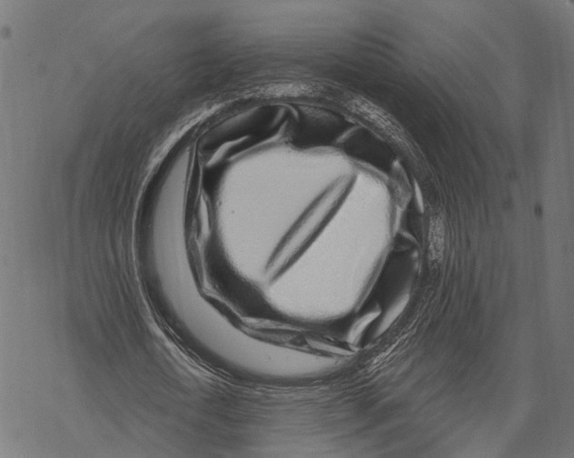 X0000067920722200605041708