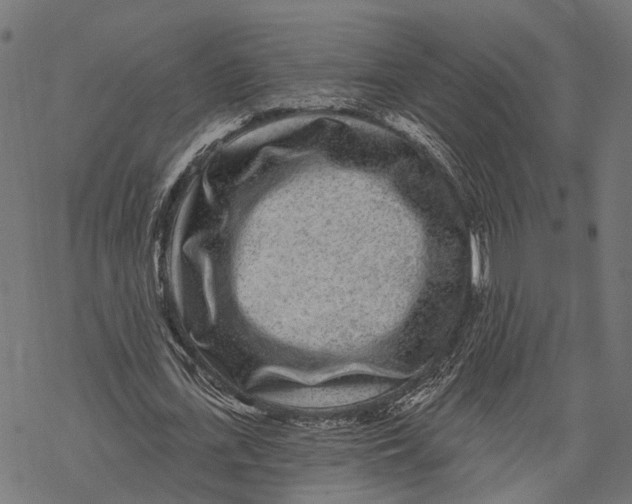 X0000067920723200605041708