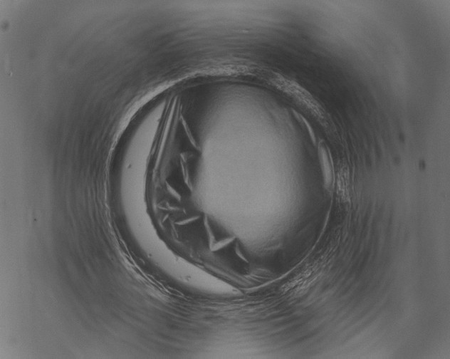 X0000067920724200605041708