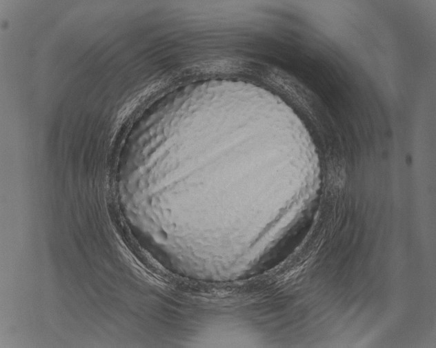 X0000067920725200605041708