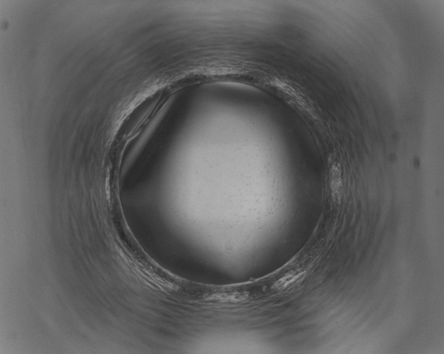 X0000067920727200605041708