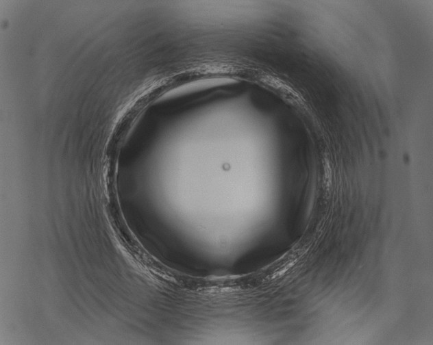 X0000067920730200605041708