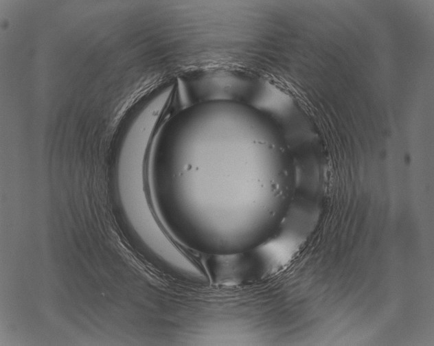 X0000067920735200605041708