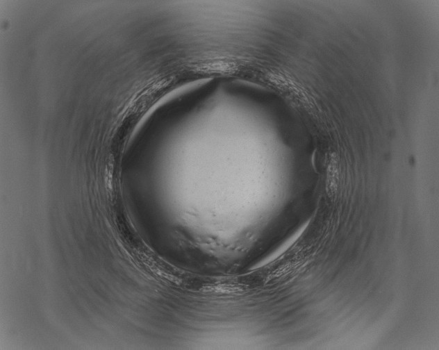 X0000067920739200605041708