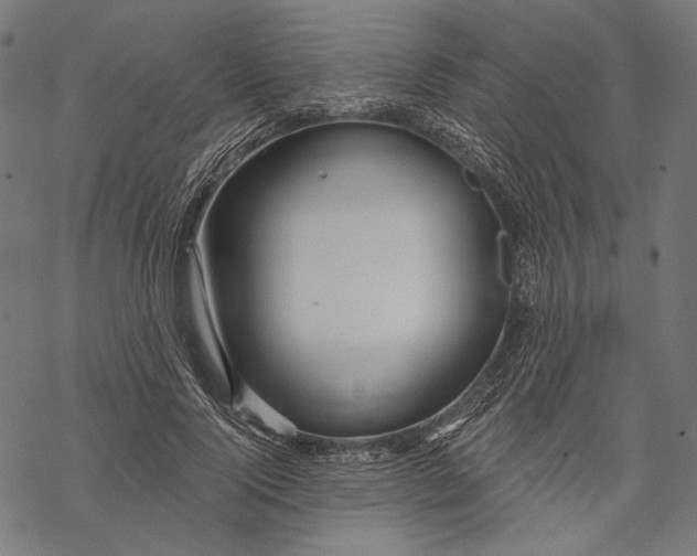 X0000067920740200605041708