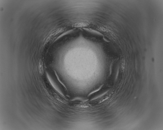 X0000067920743200605041708