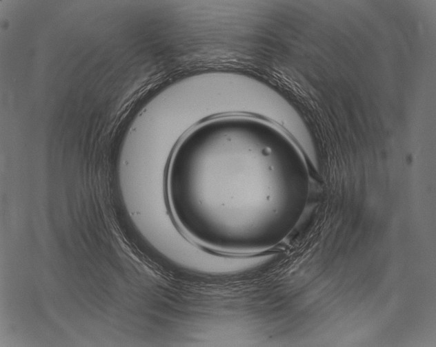 X0000067920744200605041709