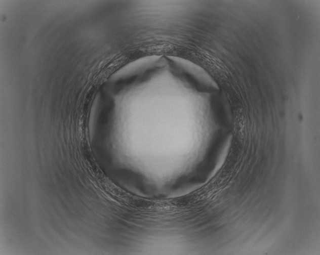 X0000067920745200605041709