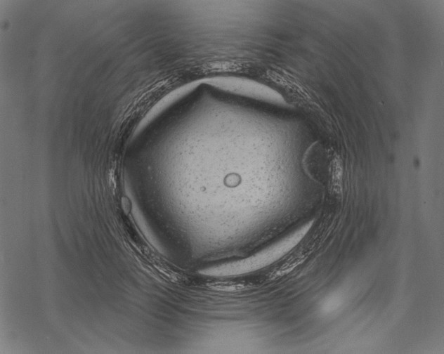 X0000067920746200605041709
