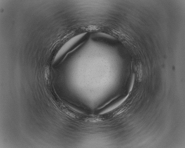X0000067920747200605041709