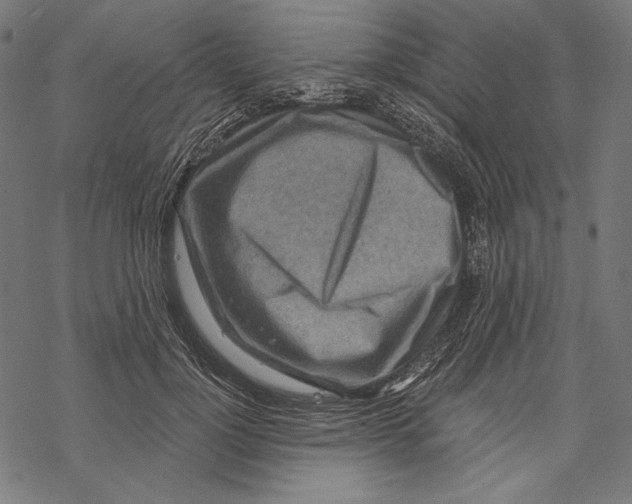 X0000067920748200605041709