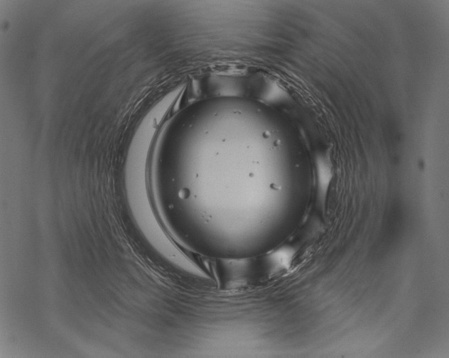 X0000067920750200605041709