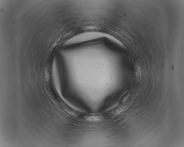 X0000067920751200605041709
