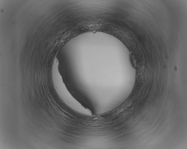 X0000067920752200605041709