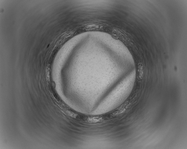 X0000067920753200605041709