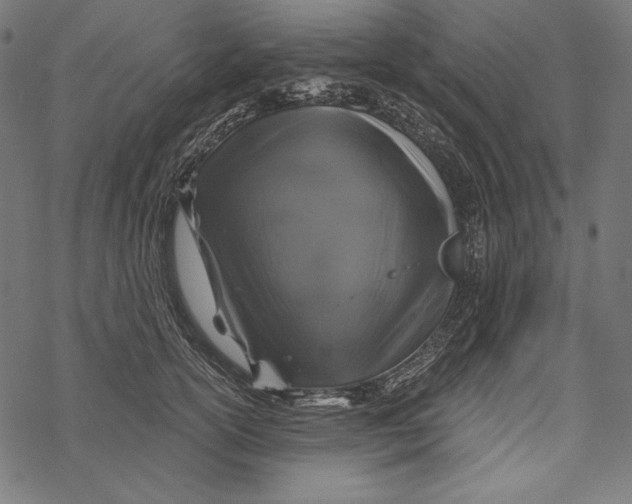 X0000067920754200605041709