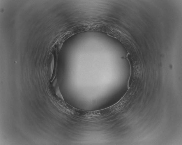 X0000067920756200605041709