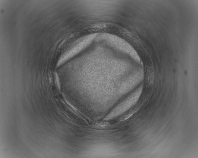 X0000067920758200605041709