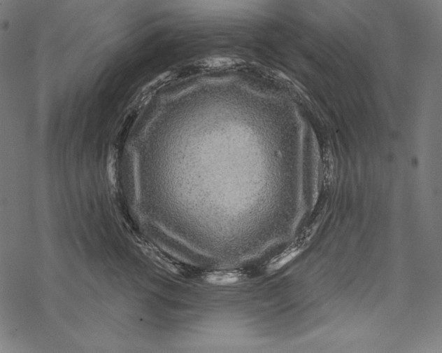 X0000067920762200605041709