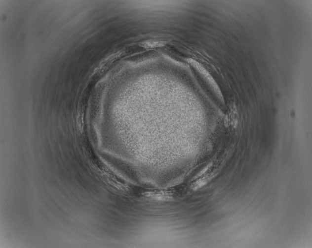 X0000067920763200605041709