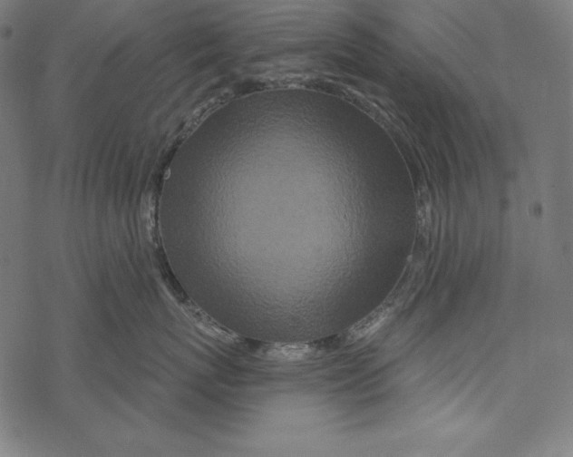 X0000067920767200605041709
