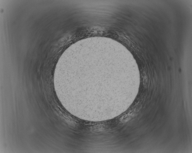 X0000067920769200605041708