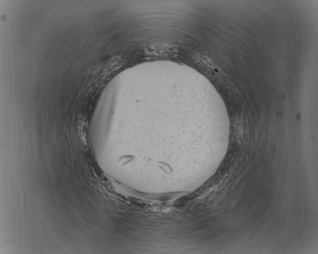 X0000067920770200605041708