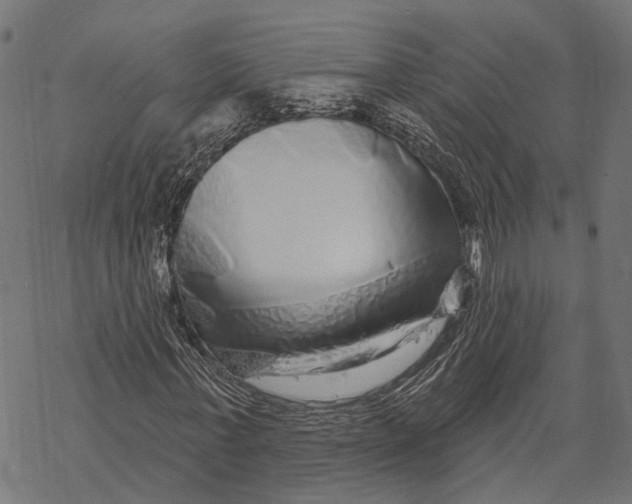 X0000067920771200605041708