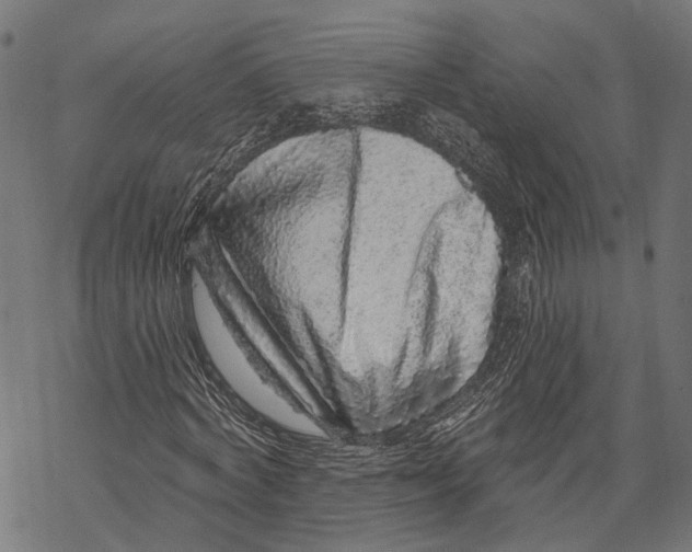X0000067920772200605041708