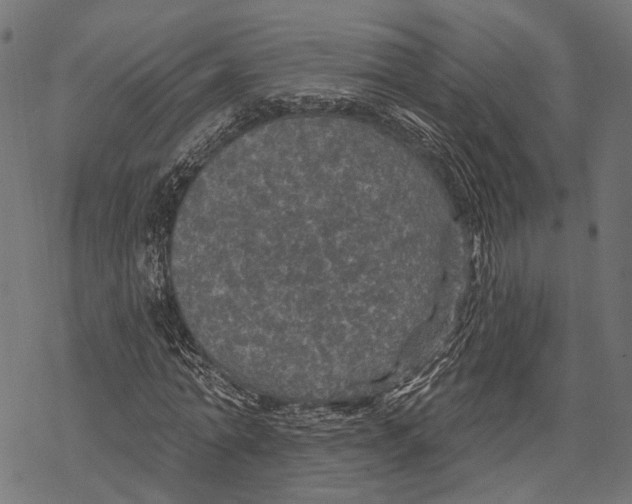 X0000067920774200605041708
