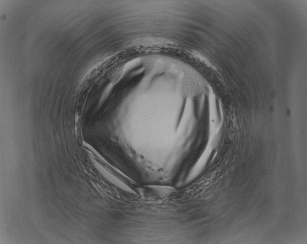 X0000067920775200605041708
