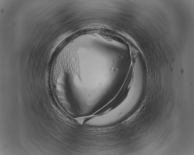 X0000067920783200605041708