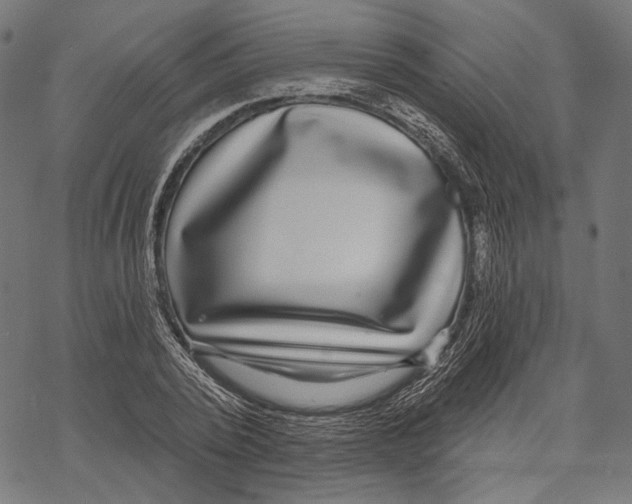 X0000067920784200605041708