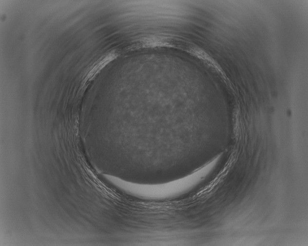 X0000067920785200605041708