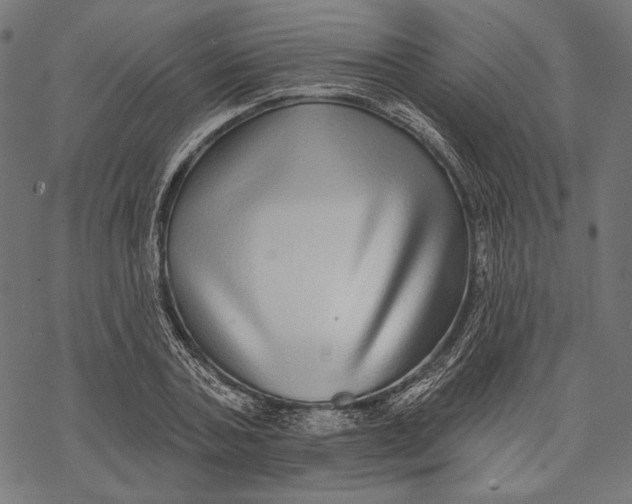 X0000067920787200605041708