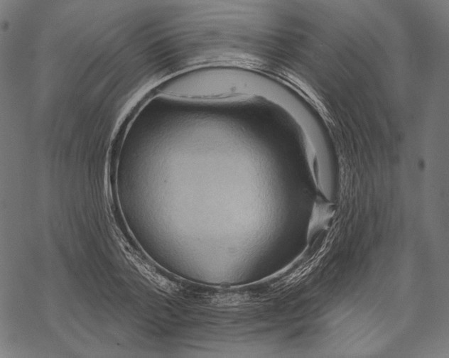 X0000067920788200605041708