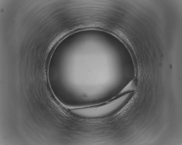 X0000067920789200605041708