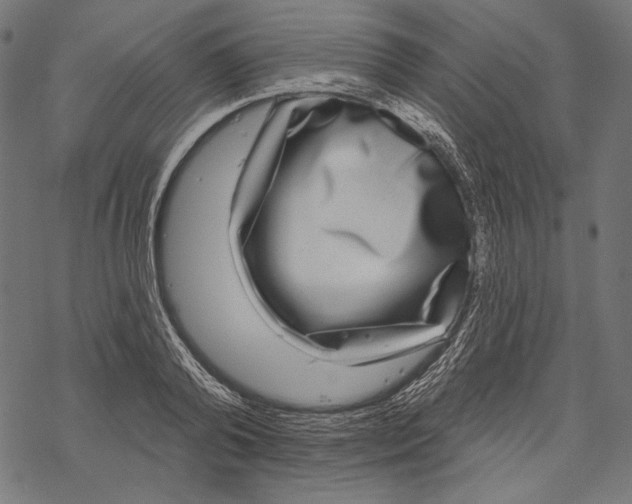 X0000067920792200605041708