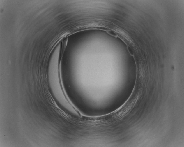 X0000067920793200605041708