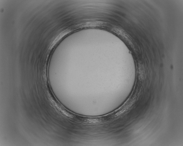 X0000067920794200605041708