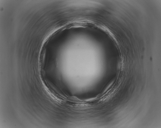 X0000067920795200605041708