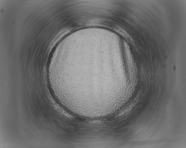X0000067920798200605041708