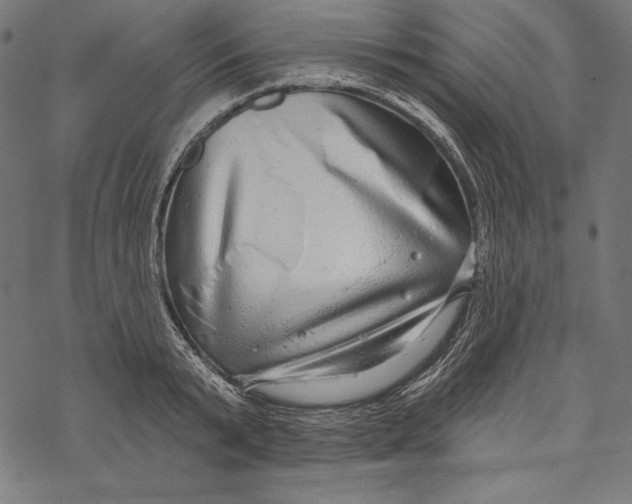 X0000067920799200605041708