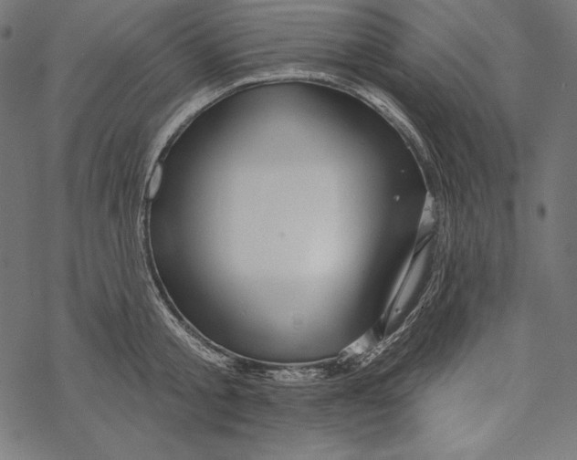 X0000067920805200605041708