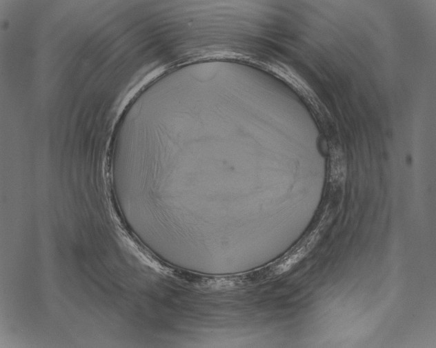 X0000067920806200605041708