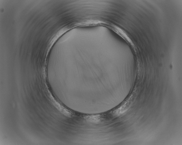 X0000067920810200605041707
