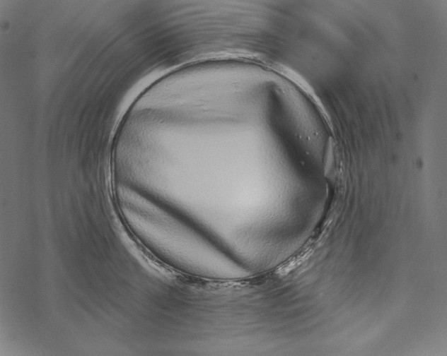 X0000067920811200605041707