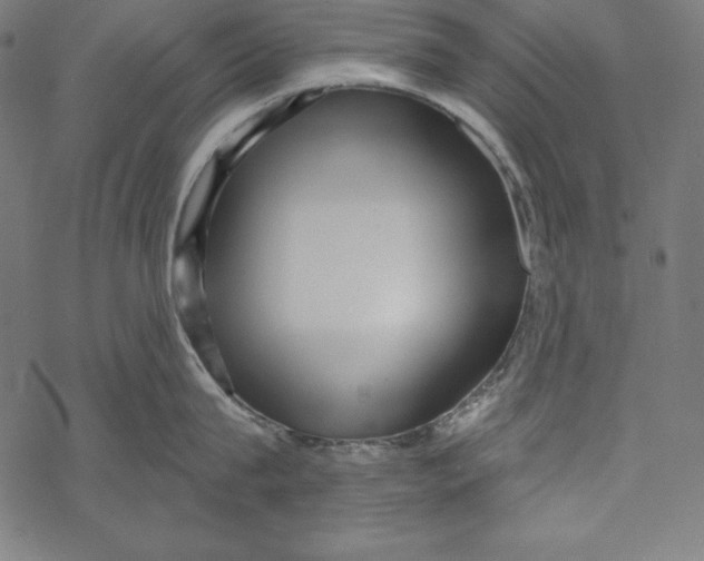 X0000067920815200605041707