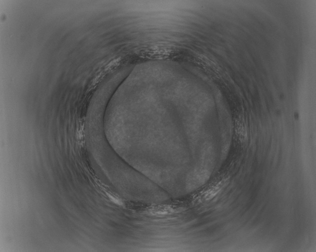 X0000067920818200605041707